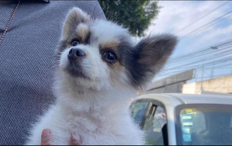 En el comunicado oficial, la Fiscalía 