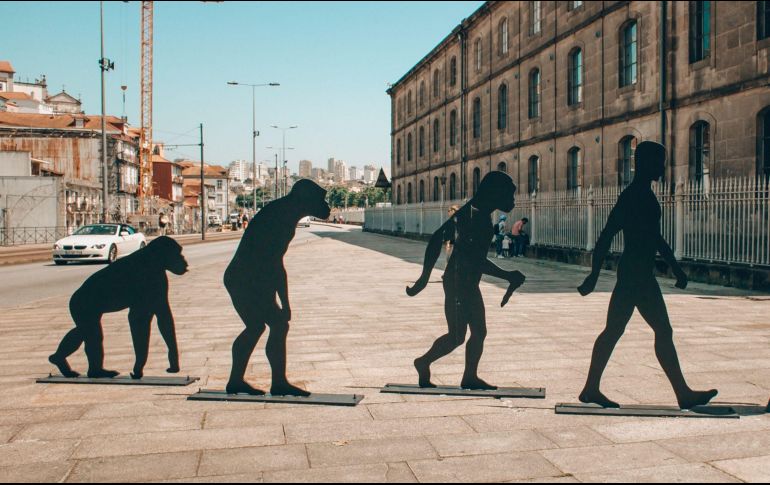 Un equipo de investigadores buscó determinar qué cambios genéticos subyacen en las diferencias anatómicas que son claramente visibles. ESPECIAL/ Unsplash