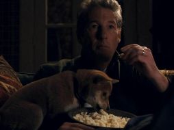 ¿Cuál es tu favorito? Los perros más memorables del cine y la televisión