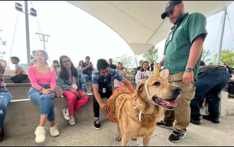 Además, se brindarán charlas sobre tenencia responsable de perros y exhibición de fauna silvestre. ESPECIAL