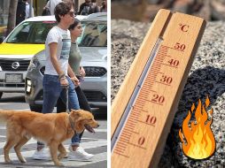 Hay que mantenerse atento para que los lomitos no sufran el temido golpe de calor. EFE / EL INFORMADOR / ARCHIVO