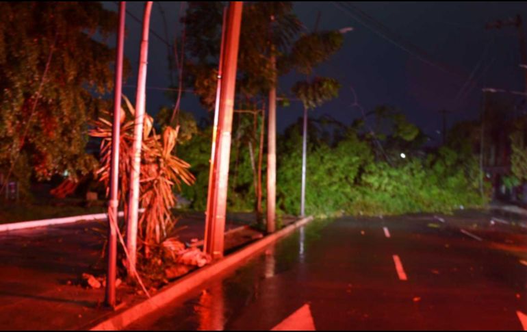 Cayeron 33 árboles en diversas calles del municipio, al igual que un espectacular y 9 postes, según informaron bomberos tapatíos. ESPECIAL