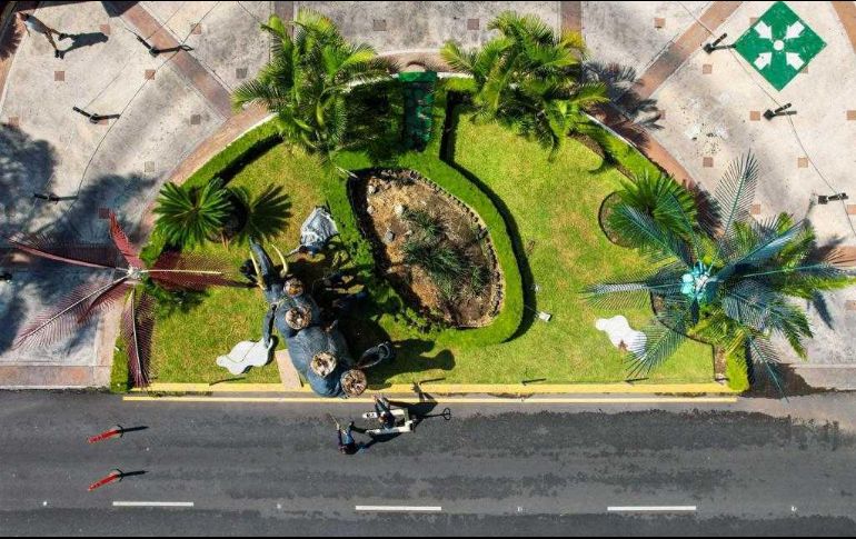 Se cree que el elefante fue derribado y volteado por las fuertes rachas de viento que se alcanzaron por la lluvia de anoche. EL INFORMADOR / A. Navarro