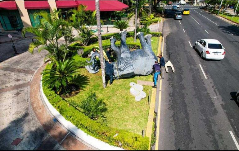Pese a su tamaño y peso, el elefante no logro hacer frente a las inclemencias del clima. EL INFORMADOR / A. Navarro