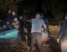 En Zapopan también reportaron cinco árboles caídos, cuatro especies en La Venta del Astillero y uno en Tepeyac Infonavit. ESPECIAL / Bomberos de Zapopan