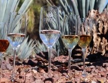 México celebra a su bebida emblemática cada 24 de julio. ESPECIAL