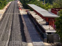 May Rodríguez presentó los avances del Tren Maya. ESPECIAL