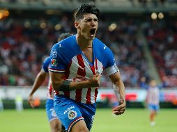 Alan Pulido define su futuro. IMAGO7