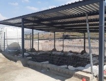 Los vecinos aseguran que con las recientes lluvias los lixiviados se derramaron y rebasaron los bordos y diques preventivos. Otros vecinos acusaron que los jugos de la basura permearon al subsuelo. CORTESÍA