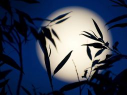 Las noches del 1 y el 30 de agosto tendrán una luminosidad especial. EFE/Archivo