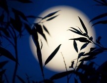 Las noches del 1 y el 30 de agosto tendrán una luminosidad especial. EFE/Archivo