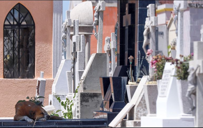 Del total de defunciones en 2022, el 90% fue por enfermedades y problemas relacionados con la salud y 10%, por causas externas. EL INFORMADOR / ARCHIVO