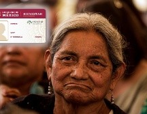 Hacer el trámite para adquirir la tarjeta del Inapam es relativamente sencillo. EL INFORMADOR / ARCHIVO