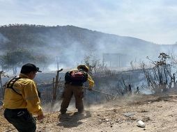 Ambos individuos fueron detenidos de manera inmediata y puestos a disposición del agente del Ministerio Público de la Unidad de Investigación de Delitos Ambientales. ESPECIAL