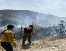 Ambos individuos fueron detenidos de manera inmediata y puestos a disposición del agente del Ministerio Público de la Unidad de Investigación de Delitos Ambientales. ESPECIAL