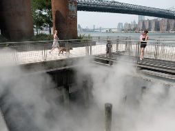 La OMM informó que el presente mes de julio ha sido el más caluroso a nivel global desde que se tienen registros, con una temperatura promedio de 16.95 grados Celsius. AFP