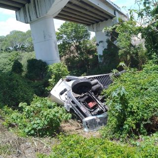 Cae camión de carga debajo de un puente en autopista a Zapotlanejo; hay dos muertos