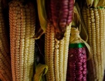 ¡No te pierdas la Feria del Elote en Tesistán 2023!. EL INFORMADOR / ARCHIVO