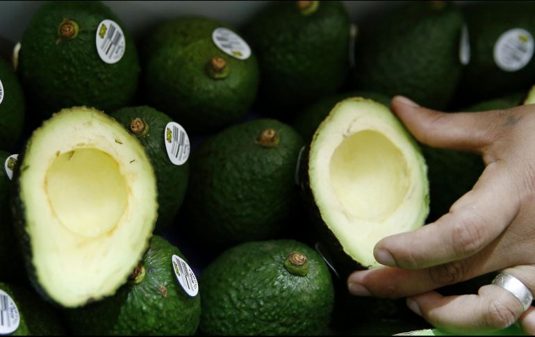 Los cultivadores de aguacate en Jalisco, planean aumentar las exportaciones de esta fruta a los Estados Unidos en 15 mil 227 toneladas para satisfacer la demanda durante el Super Bowl. EL INFORMADOR / ARCHIVO