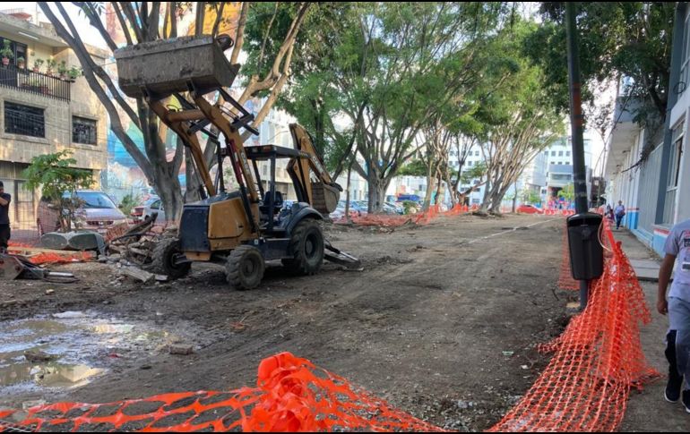 El derribo se realizó el fin de semana y fueron una decena de árboles talados de 11 que se encontraban en el sitio. EL INFORMADOR / H. Escamilla
