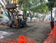 El derribo se realizó el fin de semana y fueron una decena de árboles talados de 11 que se encontraban en el sitio. EL INFORMADOR / H. Escamilla