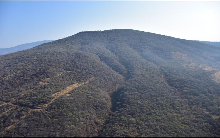 Imagen aérea del cerro de El Tinaco, ubicado en el municipio de Tlajomulco. ESPECIAL
