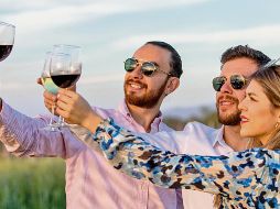 Los viñedos de vinícola Santa Elena, uno de los participantes en las vendimias hidrocálidas. ESPECIAL