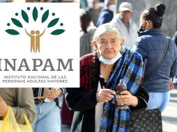 Es necesario renovar la credencial del INAPAM para conservar sus beneficios. EL INFORMADOR/ ARCHIVO