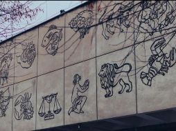 En la temporada de Leo se pueden presentar situaciones que generen a los miembros del zodiaco ser más apasionados e impulsivos, usa esto de manera positiva. Unsplash