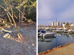 Las autoridades y los habitantes de Puerto Vallarta ya han advertido sobre las 