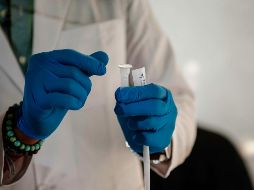 Los científicos demostraron la capacidad de la vacuna de inducir inmunidad para controlar la propagación de tumores asociados al VEB y el crecimiento tumoral en un modelo de linfoma en ratón. EL INFORMADOR / ARCHIVO