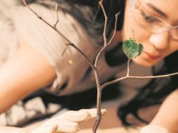 Estudiar Biología es uno de los primeros pasos para ser asesor en materia de cambio climático. ESPECIAL