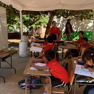 ¿Qué escuelas están obligadas a usar los libros de texto?