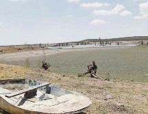 Datos de la Comisión Nacional del Agua (Conagua) revelan que el 1 de julio de este año, 84 municipios de Jalisco se encontraban en condiciones de sequía extrema. EL INFORMADOR / ARCHIVO