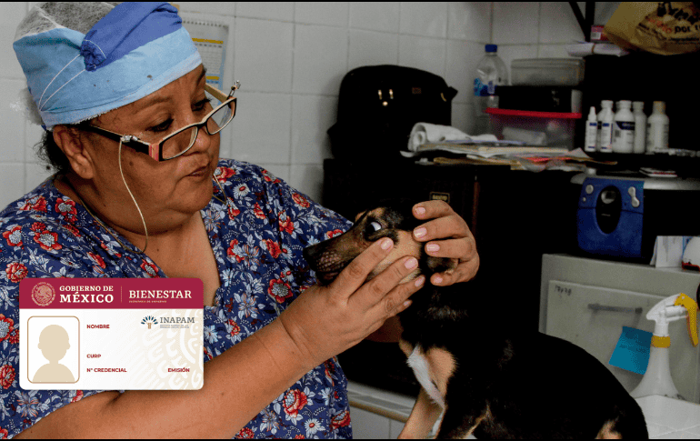 Los adultos mayores pueden llevar a sus mascotas a alguna veterinaria en caso de enfermedad y recibir un descuento. EL INFORMADOR/ ARCHIVO