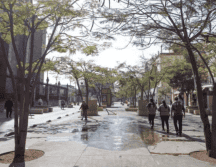 Con cinco kilómetros de recorrido, el Paseo Alacalde se posicionará como uno de los paseos peatonales más largos de México. EL INFORMADOR/ ARCHIVO