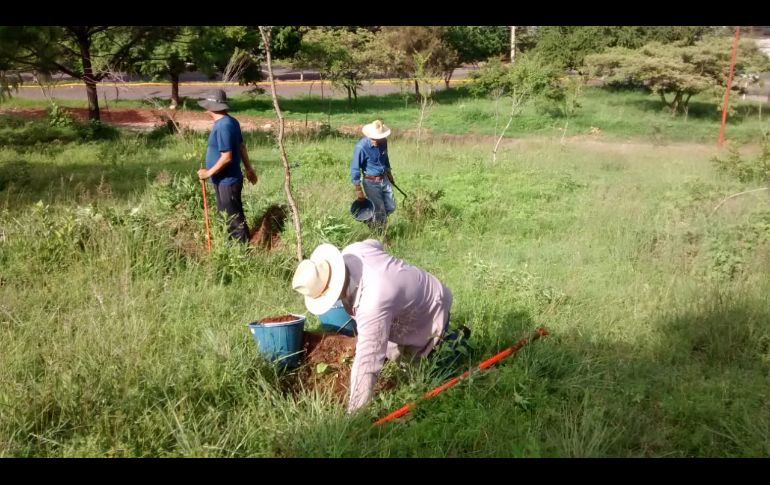 El Bosque Comunitario Guadalajara, el Colectivo Defendamos el Cerro de la Reina, el Colectivo Foco Tonal de Santa Cruz de las Huertas y el Colectivo Tonalá, fueron algunas de las organizaciones quienes participaron en las actividades. CORTESÍA /Colectivo 'Defendamos el Cerro de la Reina'