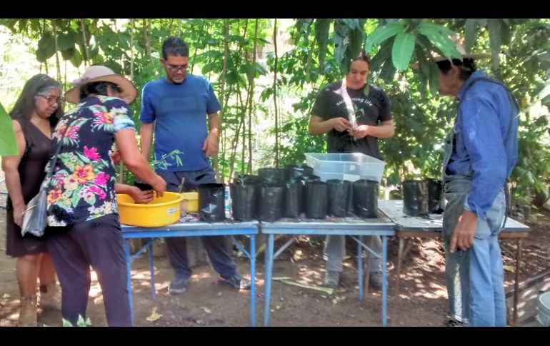 El Bosque Comunitario Guadalajara, el Colectivo Defendamos el Cerro de la Reina, el Colectivo Foco Tonal de Santa Cruz de las Huertas y el Colectivo Tonalá, fueron algunas de las organizaciones quienes participaron en las actividades. CORTESÍA /Colectivo 'Defendamos el Cerro de la Reina'