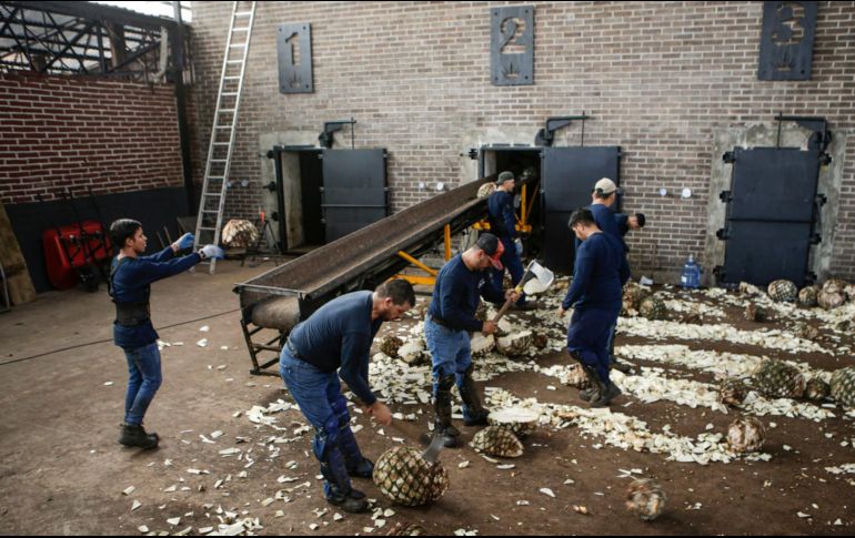 México, dentro de los países que más trabajan en el mundo. EL INFORMADOR / ARCHIVO