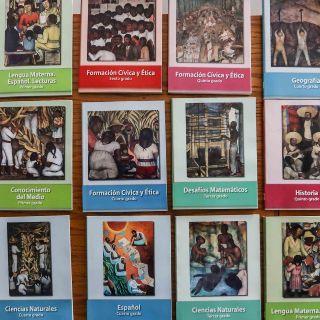 Qué dice la suspensión del ministro Aguilar sobre libros de la SEP