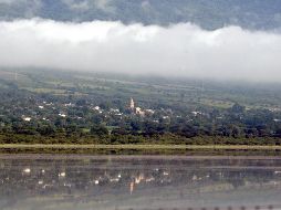 Hay también una zona de manglares en este municipio debido a su cercanía con la laguna de Sayula. EL INFORMADOR / ARCHIVO