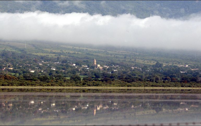Hay también una zona de manglares en este municipio debido a su cercanía con la laguna de Sayula. EL INFORMADOR / ARCHIVO