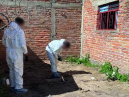 Hallan cuatro cuerpos en Lagos de Moreno; investigan si son de los jóvenes