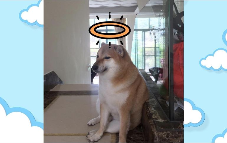 Por medio de Instagram, anunciaron que Cheems 