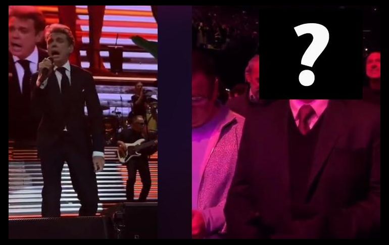 El otro famoso que asistió al concierto de Luis Miguel, cantaba y aplaudía el show. TIKTOK / florargentinaa