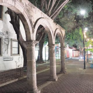 Zapopan busca recuperar sus andadores con cultura