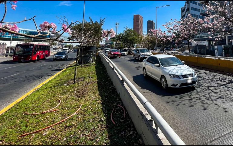 La regidora de Morena Mariana Fernández, cuestionó que en la propuesta de Ley de Ingresos para el 2024 en Guadalajara se contemplen multas por exceso de velocidad. EL INFORMADOR / ARCHIVO