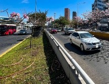 La regidora de Morena Mariana Fernández, cuestionó que en la propuesta de Ley de Ingresos para el 2024 en Guadalajara se contemplen multas por exceso de velocidad. EL INFORMADOR / ARCHIVO