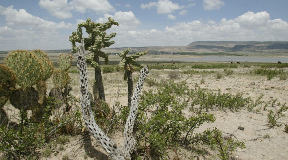 El nombre del municipio de los Altos Norte deriva de la abundancia de ojos de agua en el lugar. EL INFORMADOR / ARCHIVO