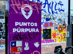 Las estructuras de algunos sitios ya fueron vandalizados con grafiti. EL INFORMADOR/A. Navarro